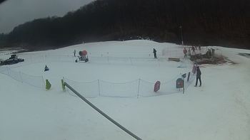 Ведмежа 10 березня 2018 року, 2018-03-10 16:00