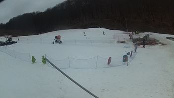 Ведмежа 11 березня 2018 року, 2018-03-11 13:00