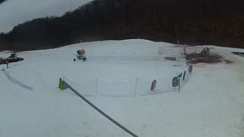 Ведмежа 11 березня 2018 року, 2018-03-11 16:00