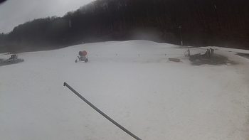 Ведмежа 12 березня 2018 року, 2018-03-12 10:00