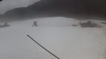 Ведмежа 12 березня 2018 року, 2018-03-12 13:00