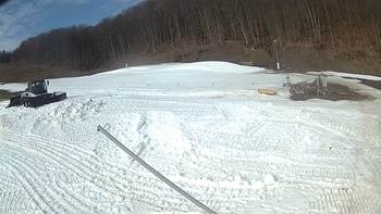 Ведмежа 14 березня 2018 року, 2018-03-14 10:00