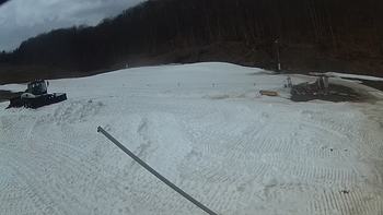 Ведмежа 14 березня 2018 року, 2018-03-14 16:00