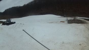 Ведмежа 15 березня 2018 року, 2018-03-15 10:00