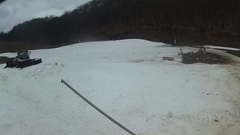 Ведмежа 15 березня 2018 року, 2018-03-15 13:00