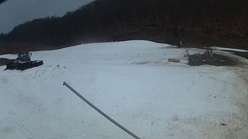 Ведмежа 15 березня 2018 року, 2018-03-15 16:00