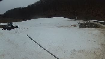 Ведмежа 16 березня 2018 року, 2018-03-16 13:00