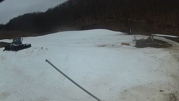 Ведмежа 17 березня 2018 року, 2018-03-17 16:00