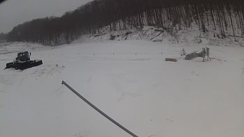 Ведмежа 18 березня 2018 року, 2018-03-18 10:00