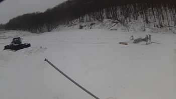 Ведмежа 18 березня 2018 року, 2018-03-18 13:00