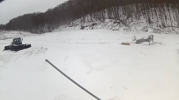 Ведмежа 19 березня 2018 року, 2018-03-19 13:00