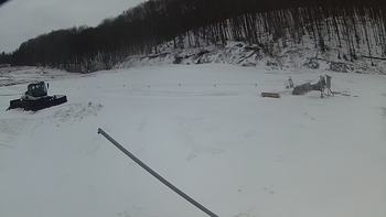 Ведмежа 19 березня 2018 року, 2018-03-19 16:00