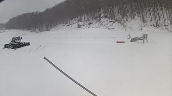 Ведмежа 20 березня 2018 року, 2018-03-20 10:00
