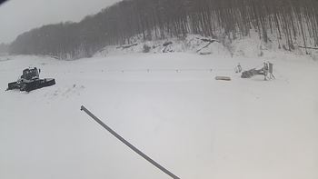 Ведмежа 20 березня 2018 року, 2018-03-20 13:00