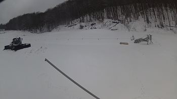 Ведмежа 20 березня 2018 року, 2018-03-20 16:00