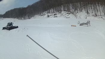 Ведмежа 21 березня 2018 року, 2018-03-21 10:00