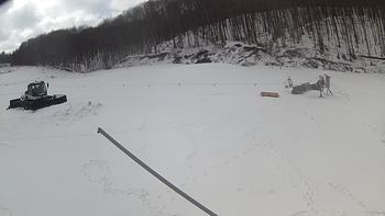 Ведмежа 21 березня 2018 року, 2018-03-21 13:00