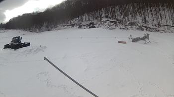 Ведмежа 21 березня 2018 року, 2018-03-21 16:00