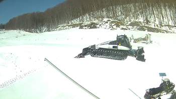 Ведмежа 22 березня 2018 року, 2018-03-22 10:00