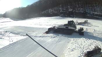 Ведмежа 22 березня 2018 року, 2018-03-22 16:00