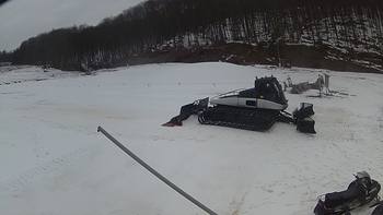 Ведмежа 23 березня 2018 року, 2018-03-23 16:00