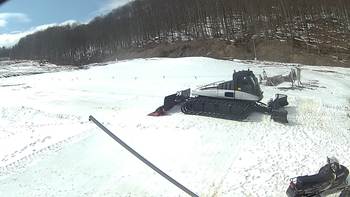 Ведмежа 24 березня 2018 року, 2018-03-24 13:00