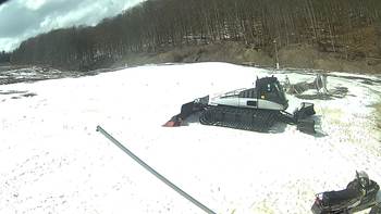 Ведмежа 25 березня 2018 року, 2018-03-25 13:00