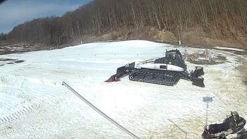 Ведмежа 26 березня 2018 року, 2018-03-26 10:00