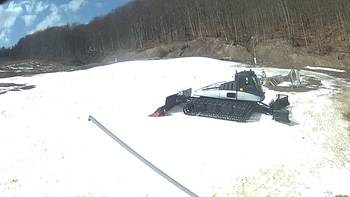 Ведмежа 26 березня 2018 року, 2018-03-26 13:00