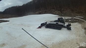 Ведмежа 27 березня 2018 року, 2018-03-27 13:00