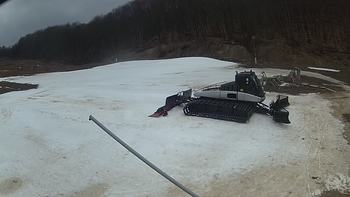 Ведмежа 27 березня 2018 року, 2018-03-27 16:00
