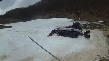 Ведмежа 28 березня 2018 року, 2018-03-28 13:00