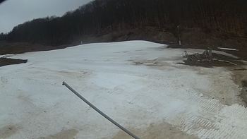 Ведмежа 29 березня 2018 року, 2018-03-29 10:00