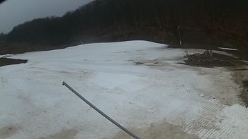 Ведмежа 29 березня 2018 року, 2018-03-29 13:00