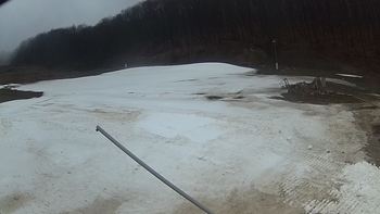 Ведмежа 30 березня 2018 року, 2018-03-30 10:00