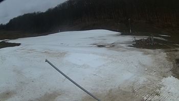 Ведмежа 30 березня 2018 року, 2018-03-30 13:00