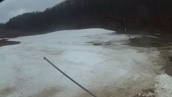 Ведмежа 31 березня 2018 року, 2018-03-31 10:00