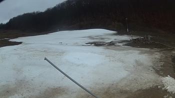 Ведмежа 1 квітня 2018 року, 2018-04-01 13:00