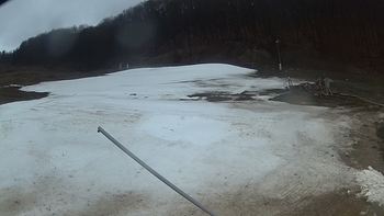 Ведмежа 1 квітня 2018 року, 2018-04-01 16:00