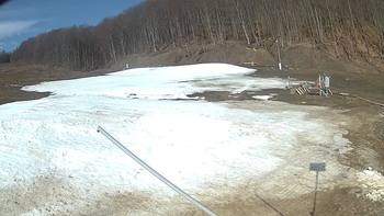 Ведмежа 3 квітня 2018 року, 2018-04-03 10:00
