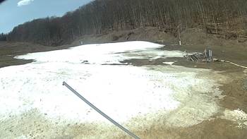 Ведмежа 3 квітня 2018 року, 2018-04-03 13:00