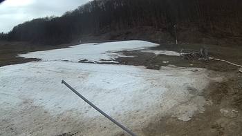Ведмежа 4 квітня 2018 року, 2018-04-04 16:00