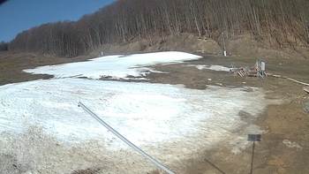Ведмежа 5 квітня 2018 року, 2018-04-05 10:00