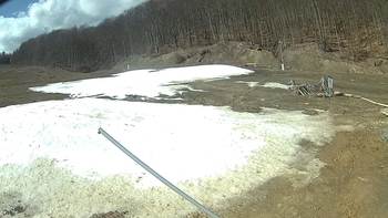 Ведмежа 5 квітня 2018 року, 2018-04-05 13:00