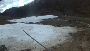 Ведмежа 5 квітня 2018 року, 2018-04-05 16:00