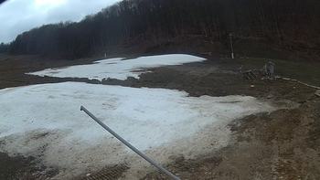 Ведмежа 6 квітня 2018 року, 2018-04-06 16:00