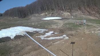 Ведмежа 12 квітня 2018 року, 2018-04-12 10:00