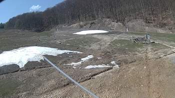 Ведмежа 12 квітня 2018 року, 2018-04-12 13:00