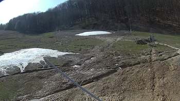 Ведмежа 12 квітня 2018 року, 2018-04-12 16:00