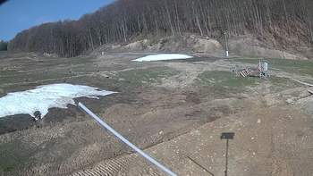 Ведмежа 13 квітня 2018 року, 2018-04-13 10:00